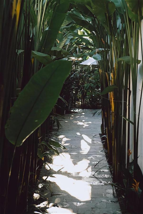 Tropical Home Villa Hoi An Esterno foto